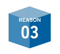 Reason 03